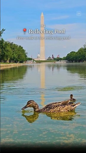 3-Day Washington DC Itinerary With Kids | Free Museums & More | Endless Travel Plans