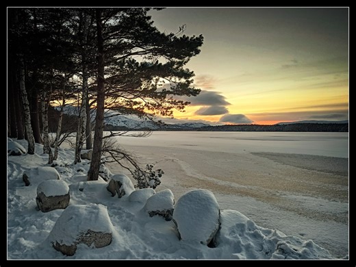 Highland Scenery | Loch Garten frozen over 5/1/26 | Facebook