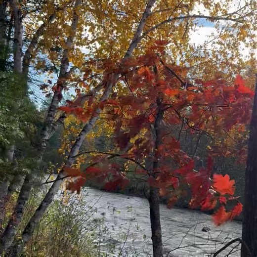 11K views · 425 reactions | Good Morning Ashland Wisconsin! It’s Tuesday, October 21, 2025, 40°F to start the day! | Good Morning Ashland, Wisconsin | Facebook