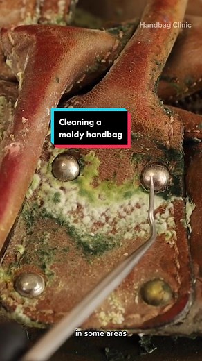 How to Clean Mold from Leather Handbags - Insider Tips