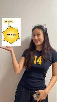 MHC 1 vs MHC 2 #immunity #immunology