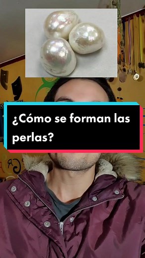 ¿Cómo se forman las perlas en el mar?