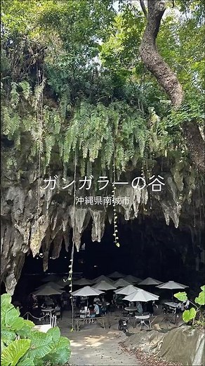 沖縄の秘境】ガンガラーの谷でガイドと行く太古の森探検！神秘の絶景