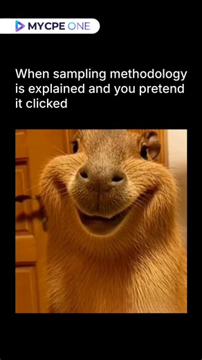 MYCPE ONE on Instagram: "POV: You keep the conversation moving, knowing the real understanding happens later — with the file open and no one watching. That’s just how accountants work. #MYCPEONE #AccountingHumor #AuditLife"