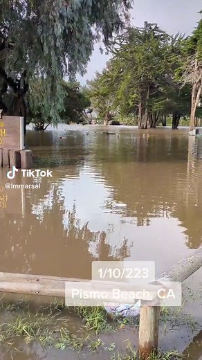 PFittieFace on TikTok