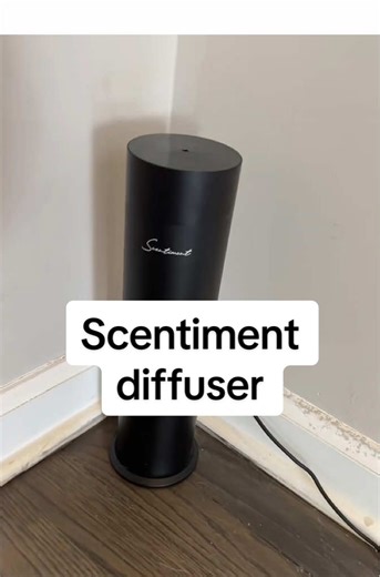 Discover My Favorite Diffuser: Scentiment