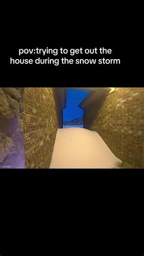 i definitely thought she would’ve just came back in the house & not jump on it !!😭😭😭#snow #snowstorm #fyp #viral #pov