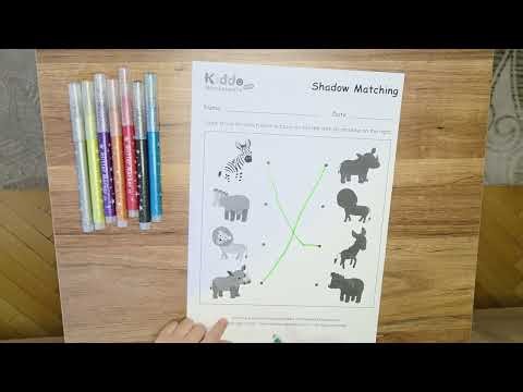 Shadow Matching for Kids | Match the Picture with Its Shadow | Fun Learning Game