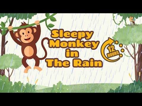 Sleepy Monkey In The Rainforest – 12 Hours of Relaxing White Noise for Babies & Toddlers