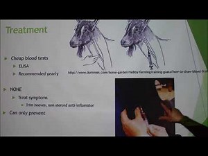 Caprine Arthritis Encephalitis