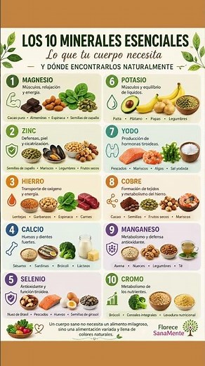 Minerales que tu Cuerpo Necesita y Dónde Encontrarlos