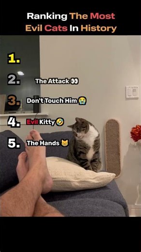 Ranking The Most Evil Cats In History 😺🔥 #funny #everyone #cute
