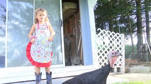 A turkey meant for the dinner table won't be part of any Thanksgiving meal. WTAJ News at 11 has the full story of the bond between a little girl and her turkey. https://trib.al/t88PBsi | WTAJ