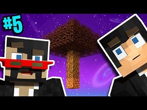 Minecraft: Sky Factory 4 w/ X33N Ep. 5