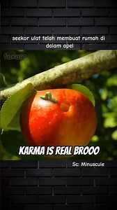 The life of insects in an apple tree🐛🍎 #shortviral