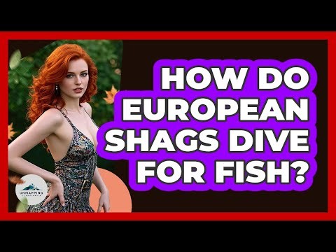 How Do European Shags Dive For Fish?