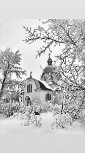 Mass decline | Chasing Yesterday