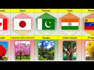 National Tree of different countries | National Tree Comparison | list of National trees