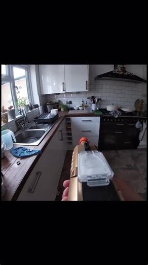 Effective Bug Removal with Bug-A-Salt Gun