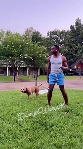 Can't Get Enough #reels #FixItJeezuh | Darryl’s World