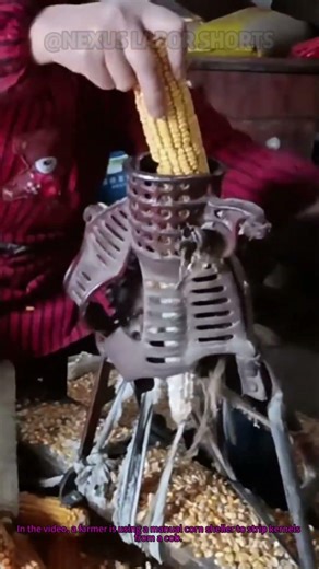 Corn Shelling Hack: How to Remove Kernels in Seconds!
