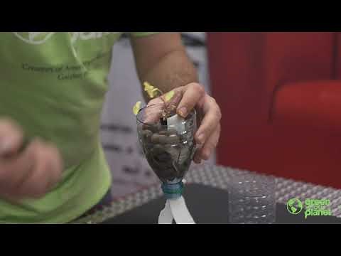 How to build a simple wicking hydroponics system!