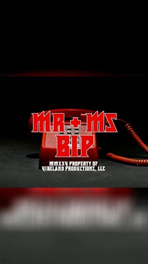 I don’t think she was actually sorry…Vibeland Chronicles presents Mr. + Ms. Bip