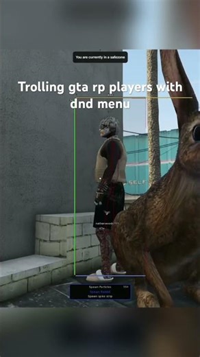 Dnd menu fivem #gtarp #fivem #trolling