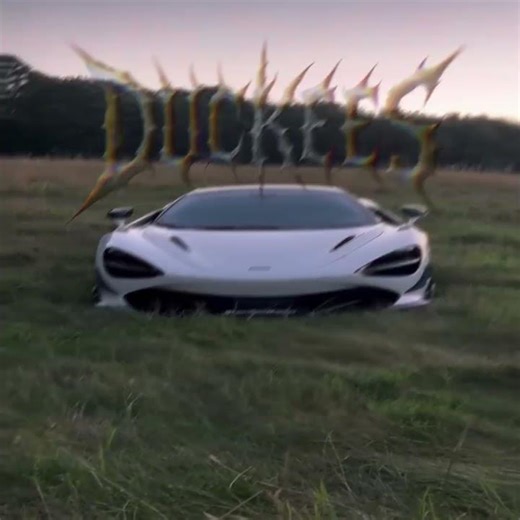 0108 #Autodev1 #Duckees