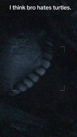 Experiencing Emotion Through Gaming: Joe Swanson Transformation