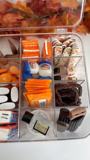 ASMR Fall purse Essentials ✨ | ASMR Lux Vlogs