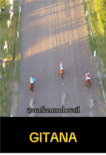 Turf Argentino: Exciting Copa Challenger Racing Highlights