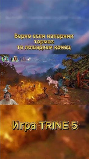 Верно если напарник тормоз то лошадкам конец #trine