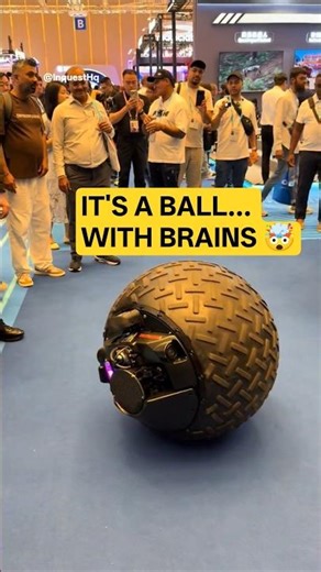 Canton Fair 2025 – The Craziest Robot You'll See