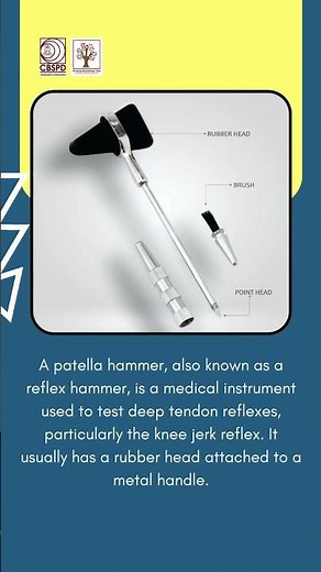 Patella Hammer Explained: Why Every Doctor Taps Your Knee | Clinical Skills & It's Uses