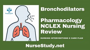 Bronchodilators Nursing Considerations - NurseStudy.Net