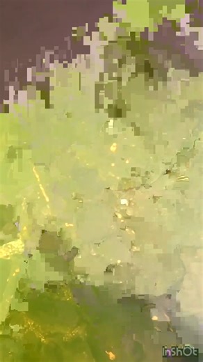 What Train Sounds Like Underwater 🚊 | Exploring with the Nug