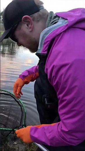 I Caught A Trout Reeling In Powerbait 🤣🎣 #fishing