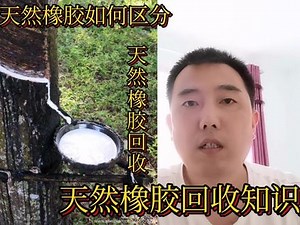 什么是天然橡胶？天然橡胶怎么区分？分享一下它的回收知识#经验分享 #知识分享 #科普一下 #天然橡胶 #橡胶回收再利用