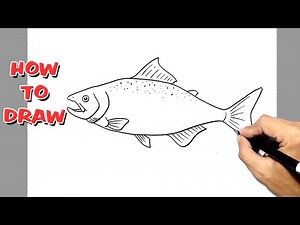 How to Draw Trout || fish trout