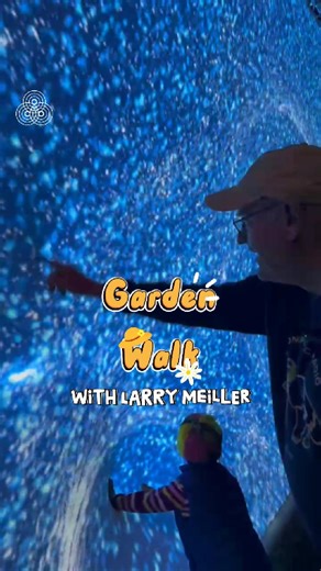 On this episode of "Garden Walk" with Larry Meiller, we visit GLEAM at Olbrich Botanical Gardens in Madison. The exhibition of light installations runs through Oct. 25. It's one of Larry's favorite events of the year! ⭐ 🏵️ (Editor's note: Olbrich Botanical Gardens is a business sponsor of WPR.) | Wisconsin Public Radio