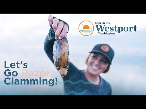 Razor Clamming in Westport, Washington