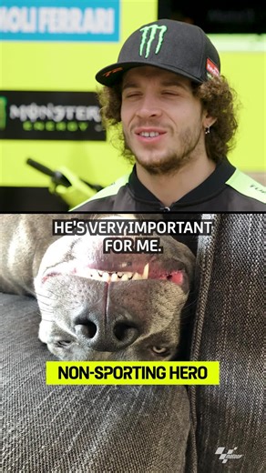41K views · 893 reactions | The love is everywhere for Marco Bezzecchi 﫶 And love comes from those who inspire him ❤️ #MotoGP | MotoGP | Facebook