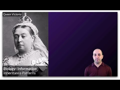 K-Bio Information 10: Inheritance Patterns