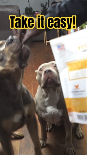 Eat The Jerky, Not My Finger!