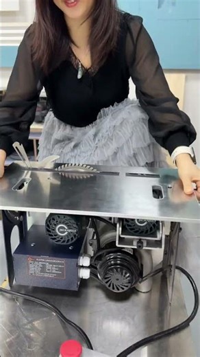One-Click Fine-Tuning Brushless Panel Saw | Dust-Free Precision Sliding Table Saw