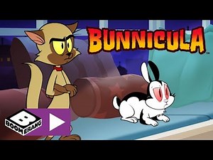 La gelosia | Bunnicula | Boomerang Italia