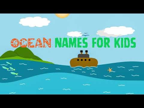 🌊 Learn the five Oceans | Teacher Teaching Oceans for Kids | Fun Geography Cartoon