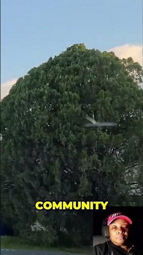 Exploring Tanglewood Village: Florida's 55+ Co-Op Community