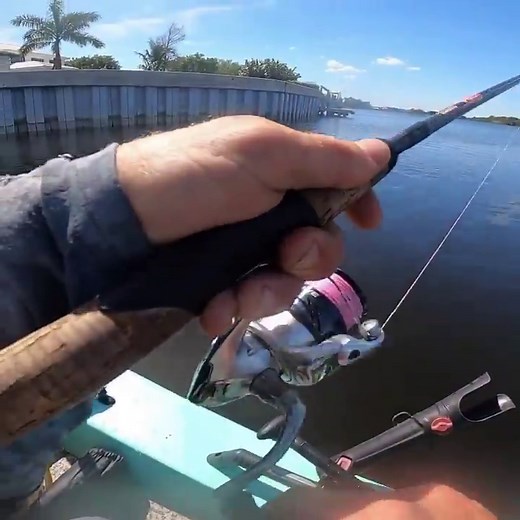 Peacock Bass Action & Epic Drone Views at Lake Ida!
